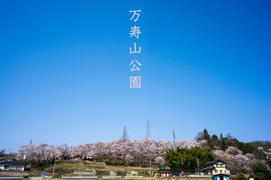 飯田市竜丘桐林万寿山公園
