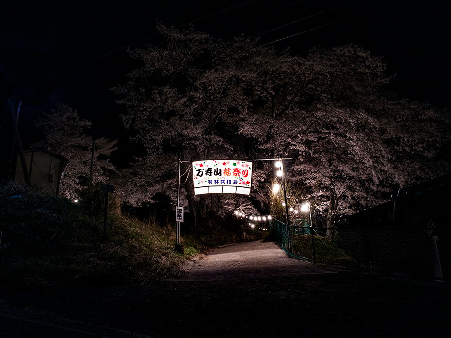 万寿山ライトアップ