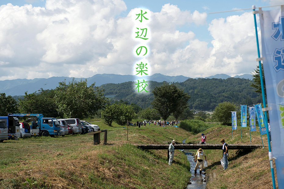 slide_08
